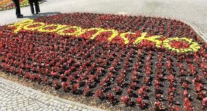 5 Radomsko